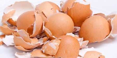 К чему снятся разбитые яйца