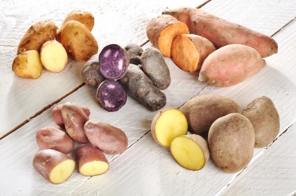 Как правильно и вкусно сварить картофель: секреты опытных хозяек
