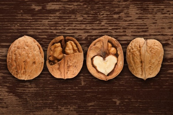 Грецкий орех: польза и вред — как оставаться здоровым. Варенье, настойки (на скорлупе и перегородках), особенности для женщин (Фото & Видео) +Отзывы