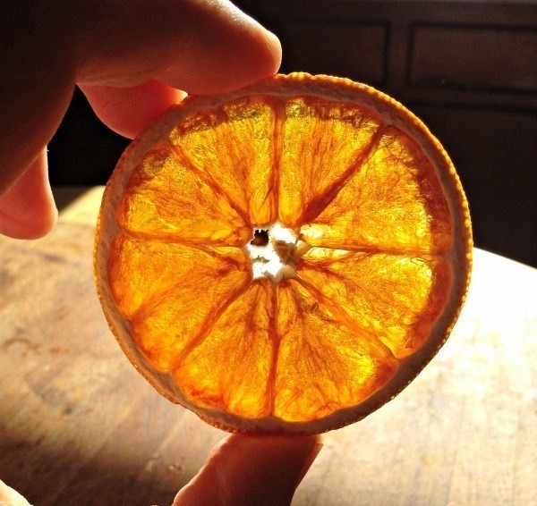 Цитрусовое настроение: как красиво засушить апельсин для декора и еды