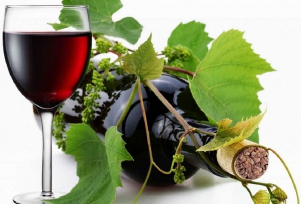Вино из винограда в домашних условиях: 10 простых и проверенных рецептов приготовления