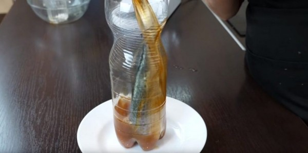 Малосольная скумбрия в бутылке, как копченная: просто и вкусно | (Фото & Видео)