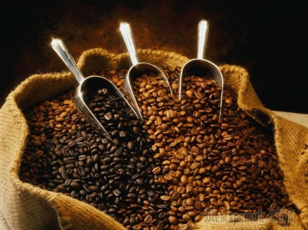 Действие кофеина в организме человека, норма и передозировка