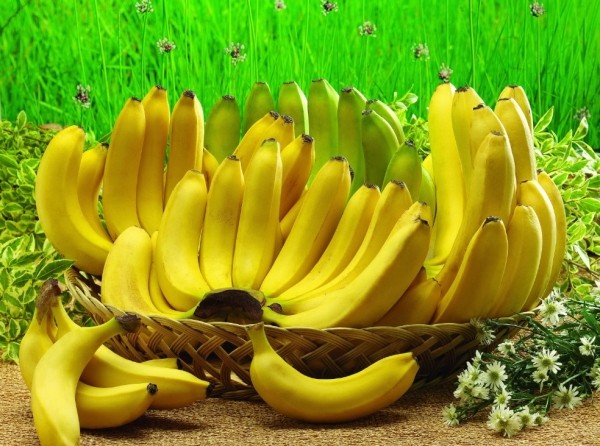 К чему снятся спелые жёлтые бананы девушке