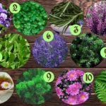 4de8c373231d2a58543385872f5b08ed