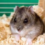 8091ca2aaae32165b8433af0ec979a70