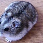 8ee59fa61c3a13ebdaa68b37bc5a9653