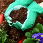 0fe5368f255b3ee46f445c6b6a8e15b6