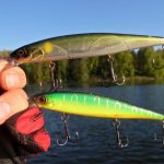 4692d7979943ac8a9a08093e179c1d00