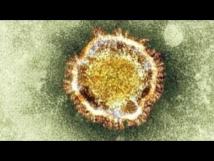 Как распространяется коронавирус