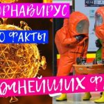 7765de4503285219697b174100989961