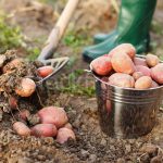 8509cfca5a14e470126998c1f4298ff6