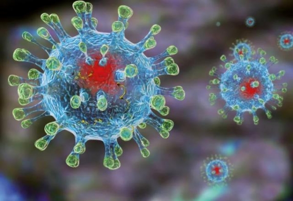 Страшен ли на самом деле коронавирус