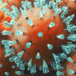 D3dd307f7355684157b516322d9e2170