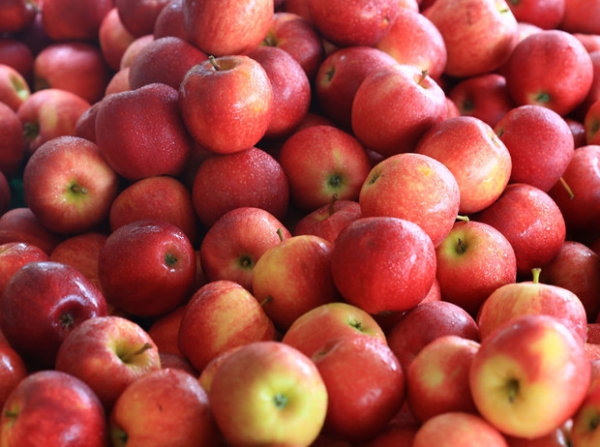 10 причин, почему вам необходимо есть яблоки