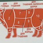 C44a89e5e45458678471d647768dc13f