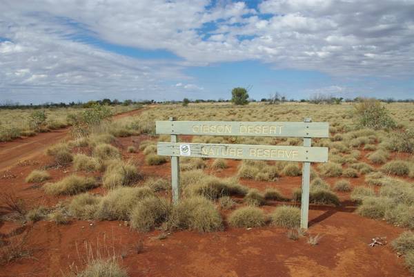 Пустыня Гибсона: описание с фото, где находится Пустыня Гибсона: описание с фото, где находится