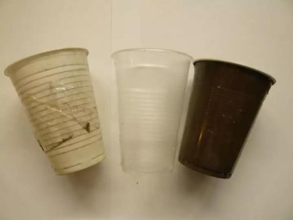 Герань: черенкование, размножение и укоренение черенками Герань: черенкование, размножение и укоренение черенками