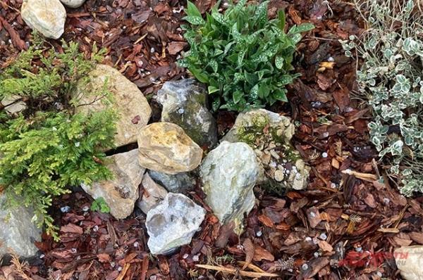 Помогают ли камни на огороде противостоять заморозкам?
